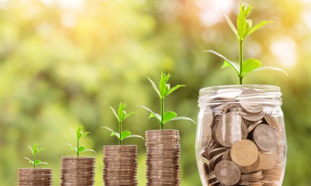 Cheap Options On A Bounceback Stock