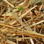 Finding the hidden winners