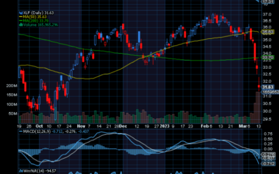 Chart of the Day: A Contrarian Idea