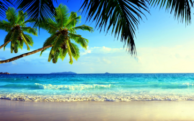 The Top Beach Bod Stocks to Consider Now