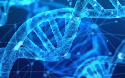 There’s Still Plenty of Upside Opportunity in Biotech