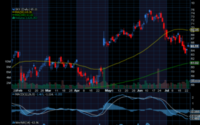 Chart of the Day: Skechers (SKX)