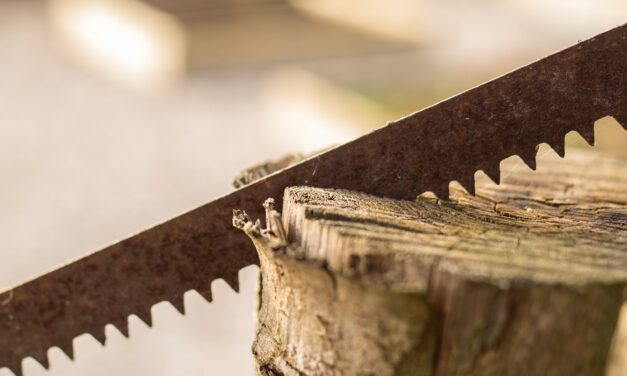 How To Heal From The Whipsaw