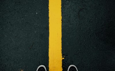 Have vs. Have-Not Stocks: The New Divide