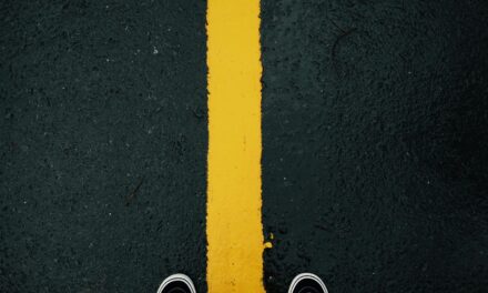 Have vs. Have-Not Stocks: The New Divide
