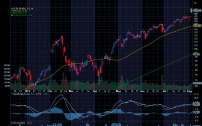 Chart of the Day: Palantir (PLTR) is Still Exploding