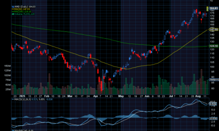 Chart of the Day: Revisiting Advanced Micro Devices (AMD)