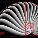 Fibonacci Ratios
