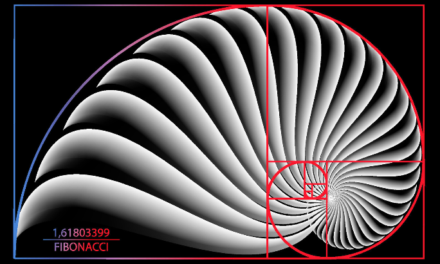 Fibonacci Ratios