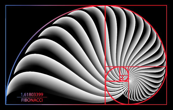 Fibonacci Ratios