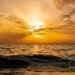 What Is On The Market Horizon