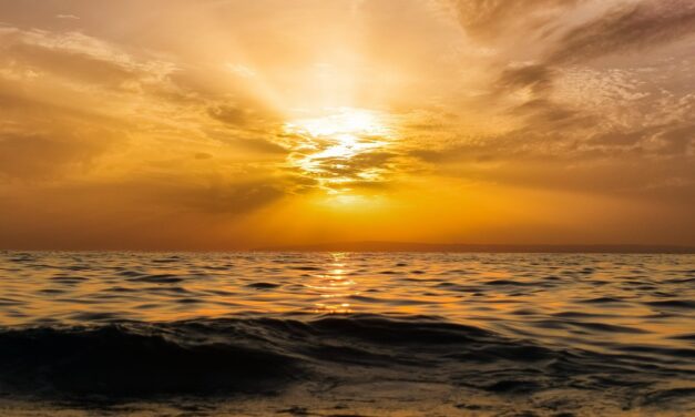 What Is On The Market Horizon