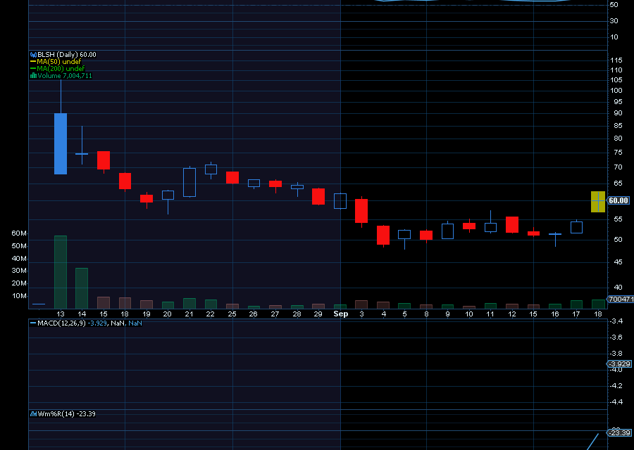Chart of the Day: Bullish (BLSH)