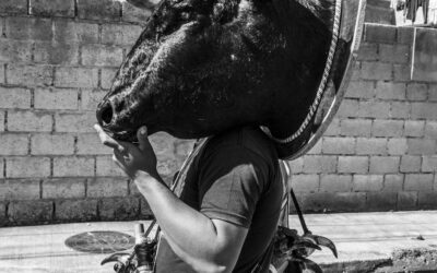 Picking Stocks In This Wanna-Be Bull Market