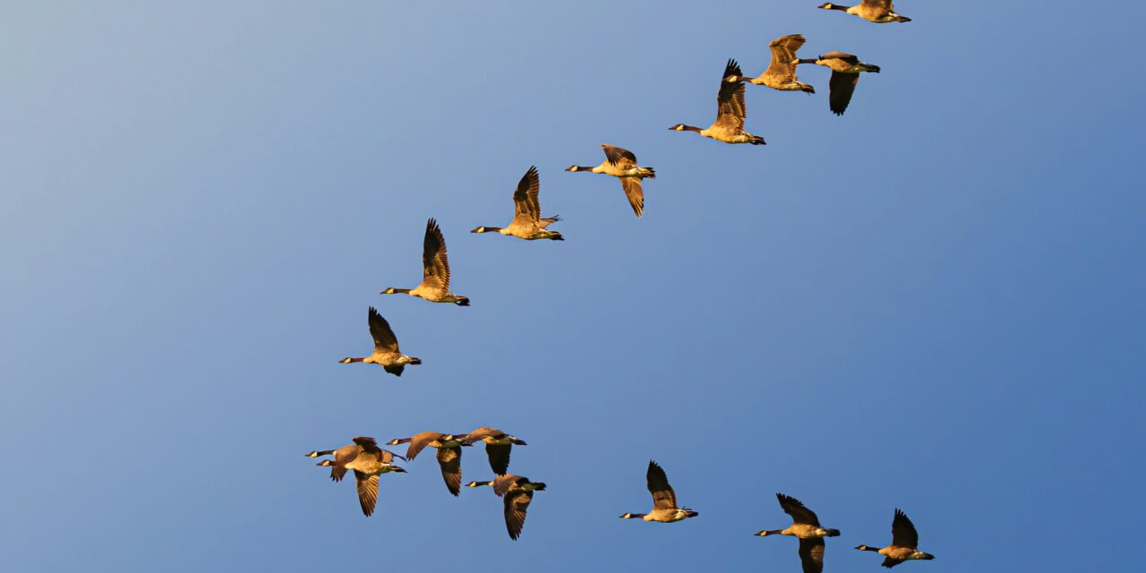 Where Is the Money Moving?