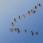 Where Is the Money Moving?