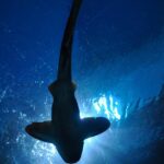 This is where I would be cautious