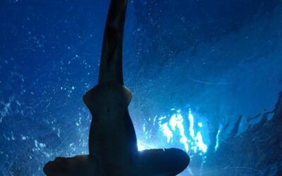 This is where I would be cautious