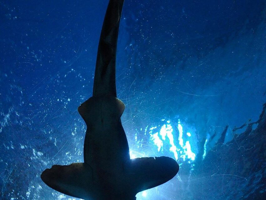 This is where I would be cautious