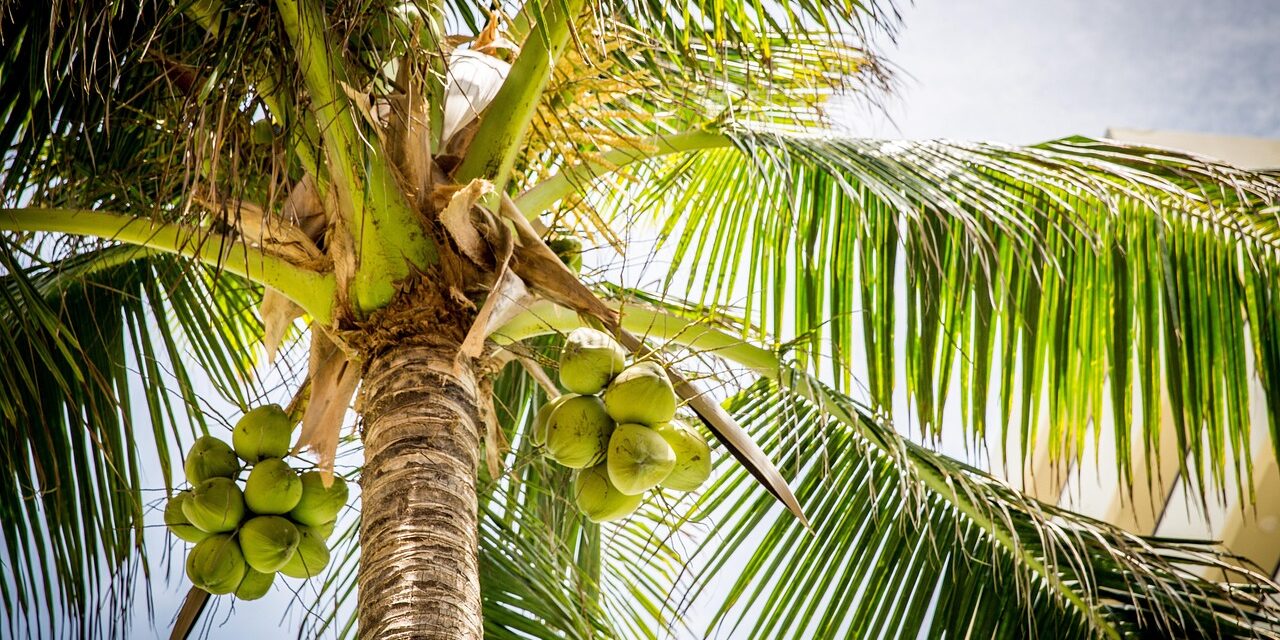 Small Caps Offer A Win Oasis