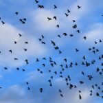 This Is What I Expect as Markets Scatter