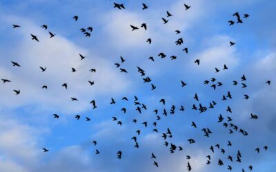 This Is What I Expect as Markets Scatter