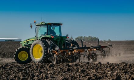 The Hidden Set Up You Missed