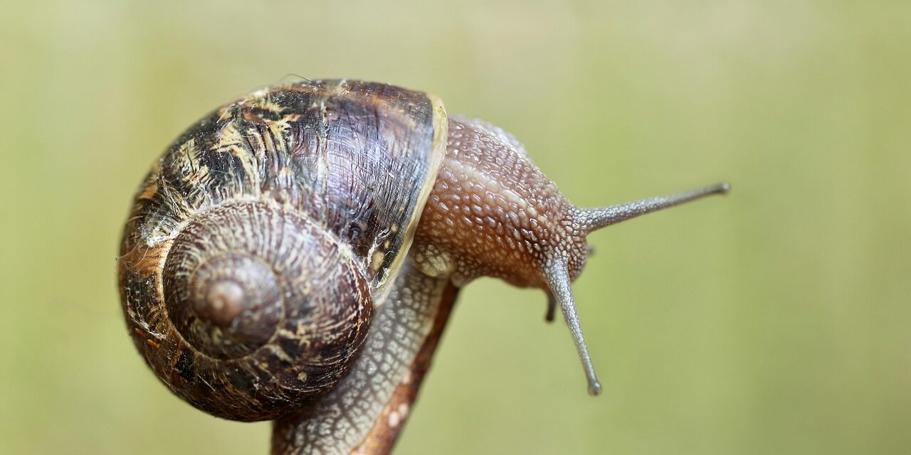 This Sector Is Lagging And Looks To Move