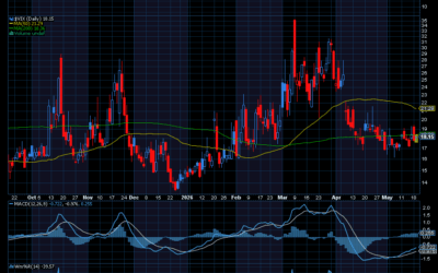 Chart of the Day: The Volatility Index (VIX)