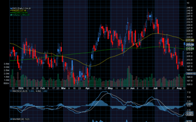 Chart of the Day: Dick’s Sporting Goods (DKS)